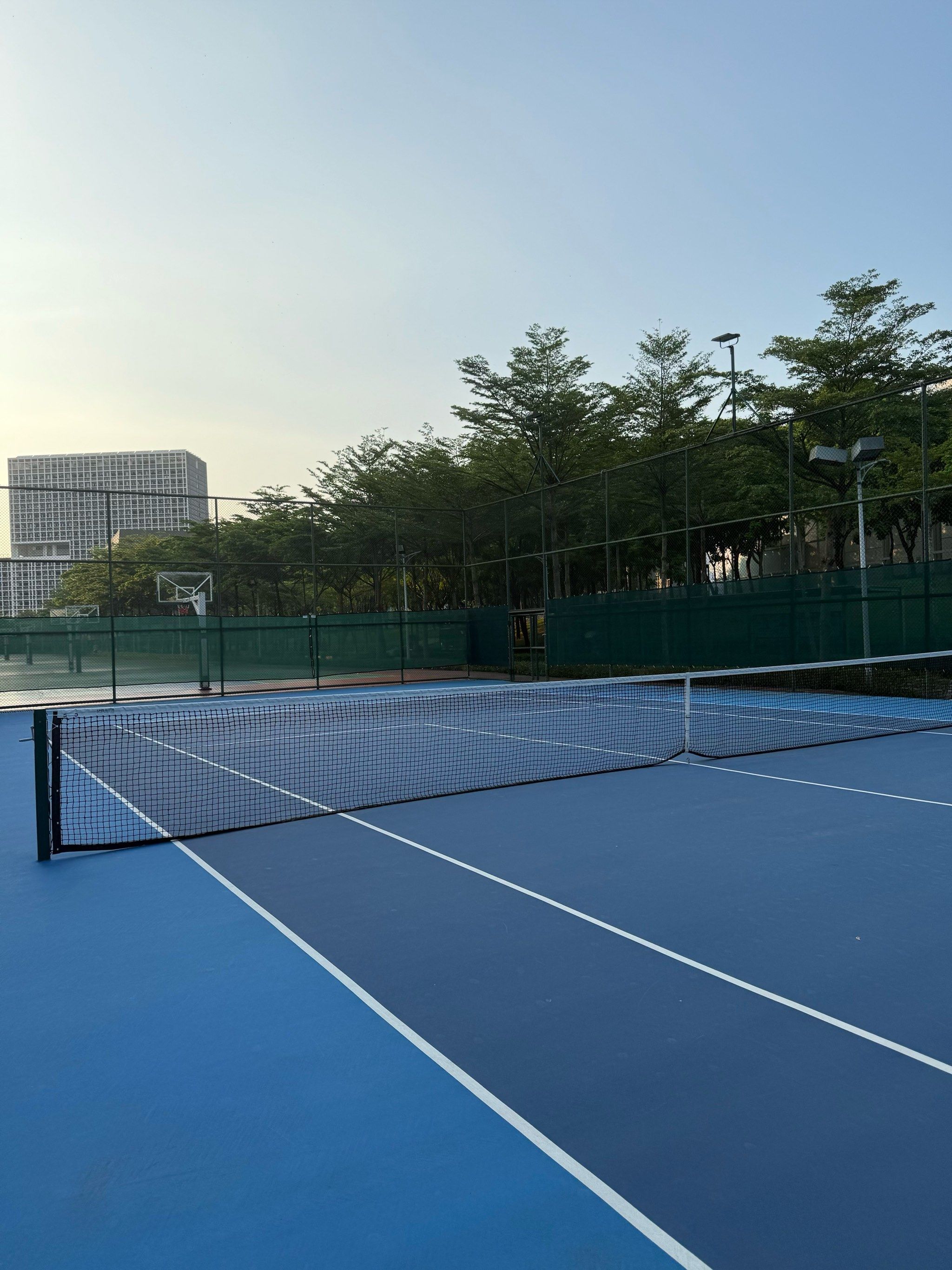 球迷以及媒 球迷以及媒